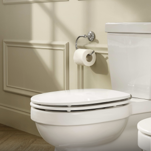 Roca Carmen Toilet Paper Holder