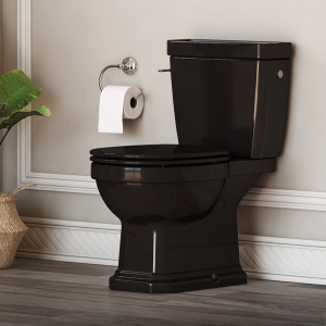 Roca Carmen Toilet Paper Holder